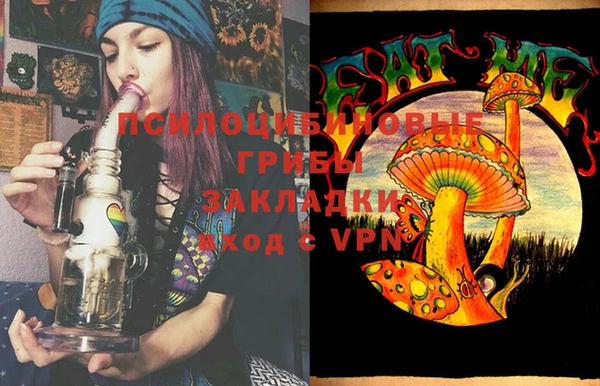 крисы Абдулино